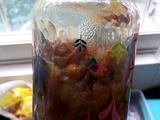 黄皮蜜饯