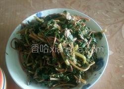 清炒马齿苋