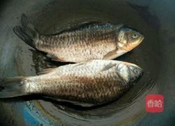 鲫鱼汤的做法图解2