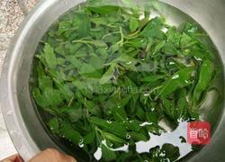 刺菜炒鸡蛋（补气血）的做法图解2