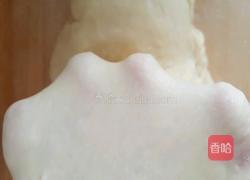 汉堡坯(手工和面)的做法图解4