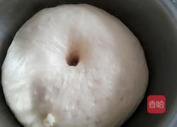 汉堡坯(手工和面)的做法图解6
