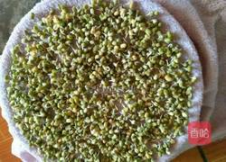 自己种的绿豆牙菜的做法图解3