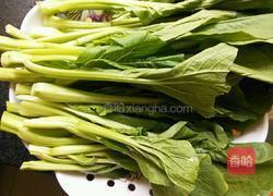 白灼菜心的做法图解1