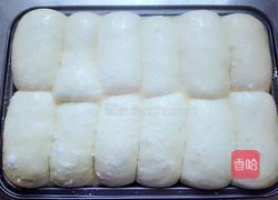 火腿肠椰蓉吐司面包(面粉版)的做法图解10