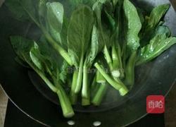 蒜蓉油菜心的做法图解4