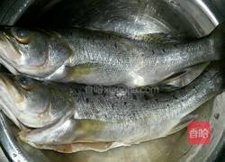红烧鲈鱼的做法图解1