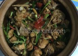 砂锅鸡煲