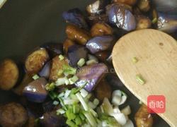 西红柿炒茄子的做法图解7