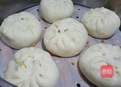 大头菜(包菜)(卷心菜)(圆白菜)素馅包子的做法图解8