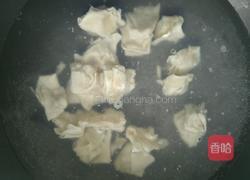 紫菜虾米小馄饨的做法图解3