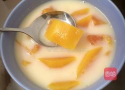 木瓜牛奶的做法图解4