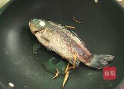 木瓜鲫鱼汤的做法图解5