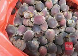 菇稔酒的做法图解1