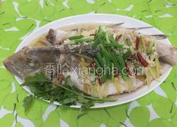 清蒸马头鱼
