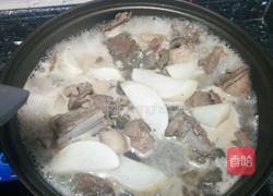 红烧山獐子的做法图解4