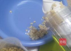 自磨豆腐花（豆腐脑）的做法图解1