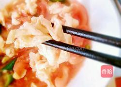 西红柿炒鸡蛋的做法图解12