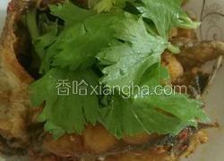 回锅鱼