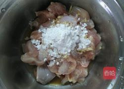 鸡腿肉烧茄子的做法图解4