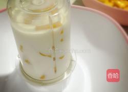 芒果奶昔的做法图解3