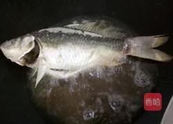 干煎鲫鱼的做法图解5
