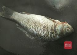 鲫鱼萝卜豆腐汤的做法图解3