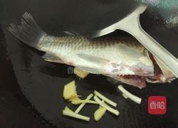 鲫鱼萝卜豆腐汤的做法图解4