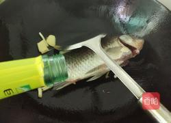 鲫鱼萝卜豆腐汤的做法图解5