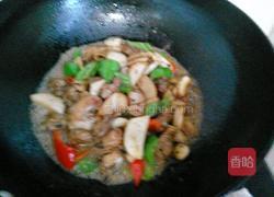 腐乳汁杏鲍菇烧鸡的做法图解9