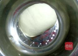 胡萝卜玉米肉饺子的做法图解5
