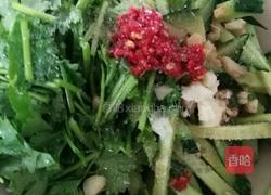 凉拌香菜黄瓜的做法图解3