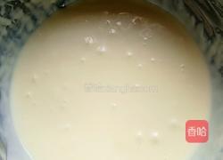 千叶纹芝士蛋糕（乳酪蛋糕）的做法图解5