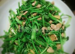 香菜肉丝