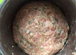杏鲍菇榨菜香葱肉馅