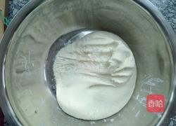 米面混合的馒头和糖饼的做法图解1