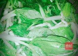 清炒小白菜的做法图解3