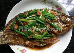 福寿鱼