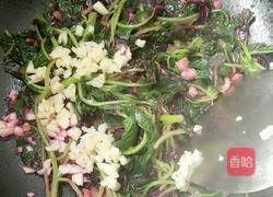 蒜蓉猪油渣炒汉菜的做法图解5
