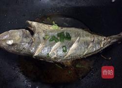 红烧油甘鱼的做法图解7