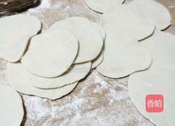 白菜猪肉水饺的做法图解4