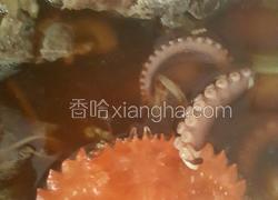脊骨土豆海鲜锅