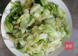 耗油手撕包菜的做法图解5