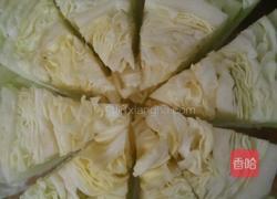 花开富贵的做法图解2