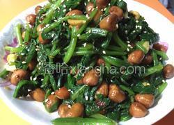 随心（果仁菠菜）