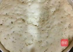 葱油花卷的做法图解2