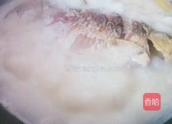 鲫鱼汤的做法图解4