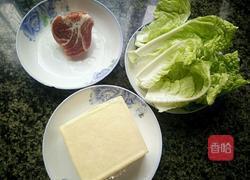 鲜香肉末豆腐的做法图解1