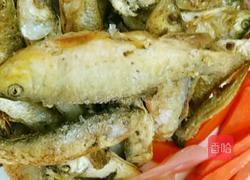 泡菜野生河小鱼儿的做法图解2