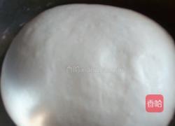 素饺子的做法图解1